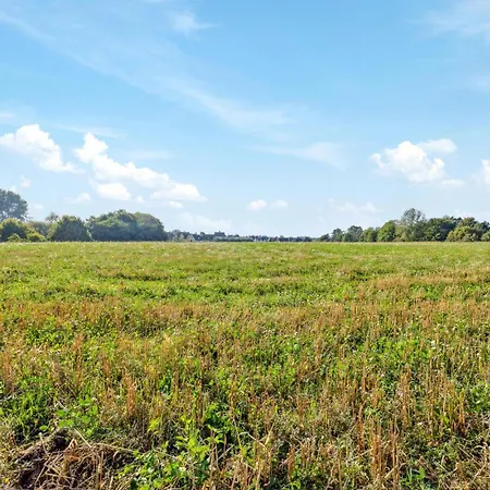 In With Wifi * Glowe