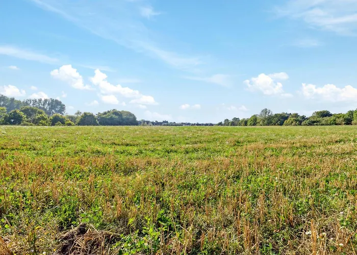 In With Wifi * Glowe